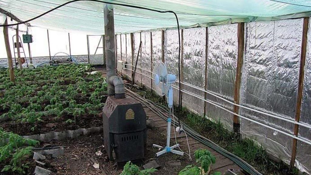 Potbelly stove inside the greenhouse