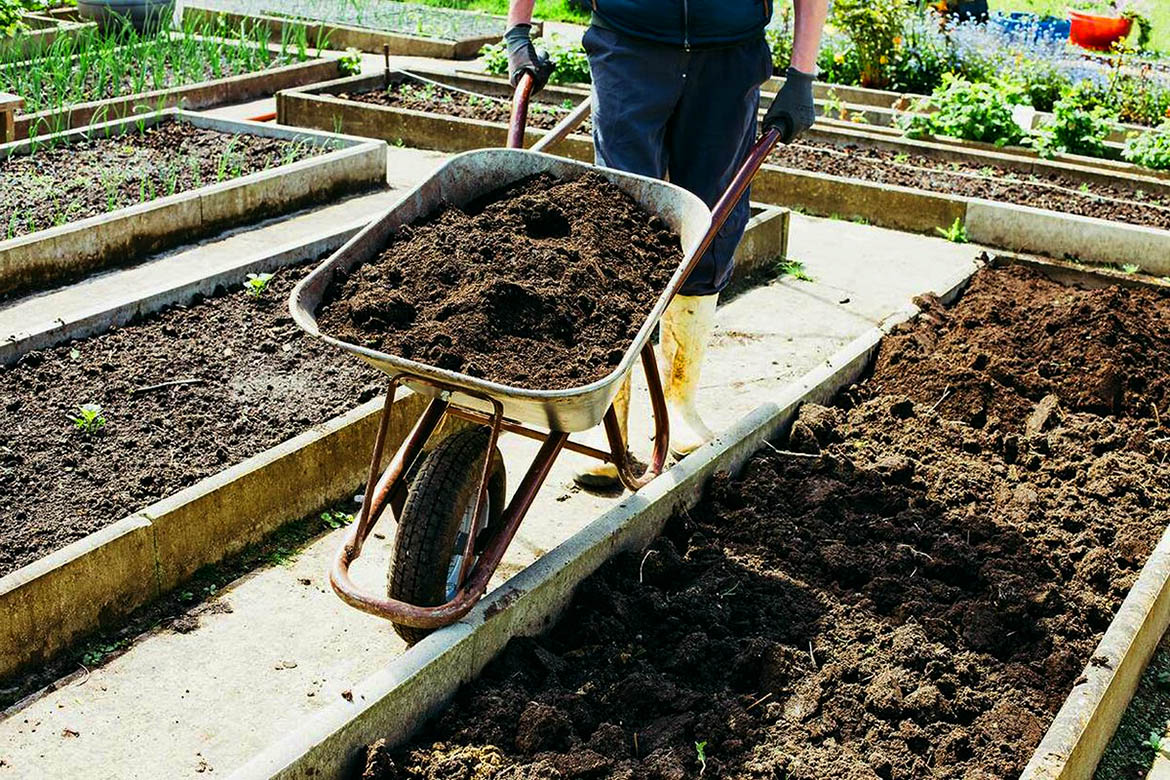 How to create fertile soil for growing in a greenhouse Garden Tips