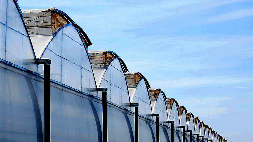 Greenhouse Controlled Environment technology