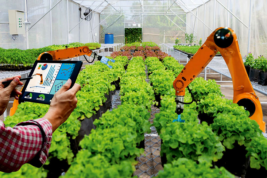 Greenhouse Innovative Technology