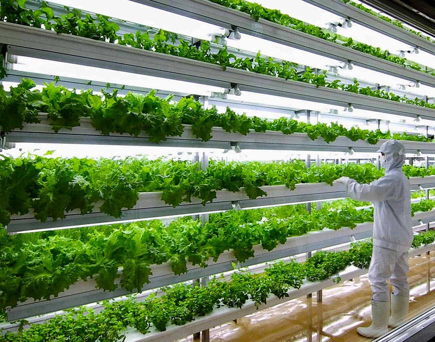 Vertical farming greenhouse technology